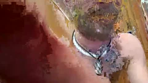 Snapshot of prettysolidd7 chatting on 12-02-24, 02:42 prettysolidd7 online show from 12-02-24, 02:42