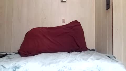 Snapshot of prettysolidd7 chatting on 12-02-24, 08:52 prettysolidd7 online show from 12-02-24, 08:52