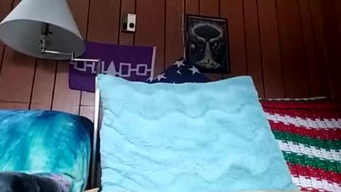 Snapshot of prettysolidd7 chatting on 12-04-24, 02:59 prettysolidd7 online show from 12-04-24, 02:59