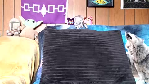 Snapshot of prettysolidd7 chatting on 01-05-25, 02:52 prettysolidd7 online show from 01-05-25, 02:52