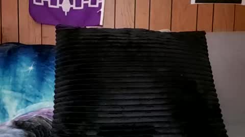 Snapshot of prettysolidd7 chatting on 02-24-25, 11:21 prettysolidd7 online show from 02-24-25, 11:21