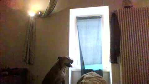 Snapshot of priante1983 chatting on 01-08-26, 12:40 BBW facial slave online show from 01-08-26, 12:40