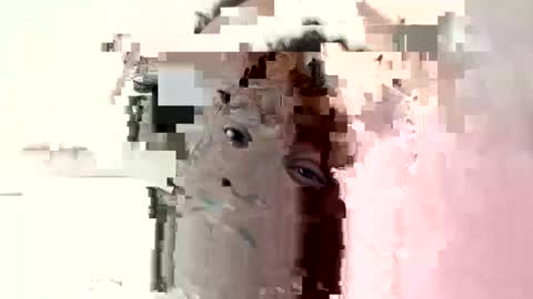 Princess Asshole online show from 10-06-25, 10:45