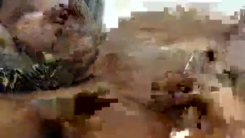 Princess Asshole online show from 10-09-25, 10:24