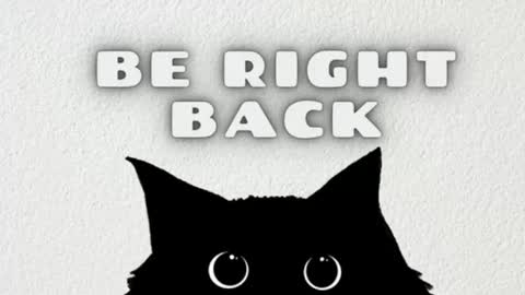 princess_tokyo_ online show from 11-08-25, 04:40