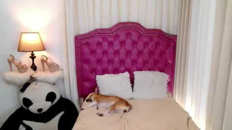 princessyanzy1 online show from 09-13-25, 05:57