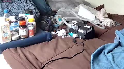 Probardetodo independent model online show from 01-09-26, 06:31