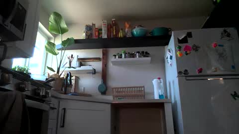 Snapshot of properfuct chatting on 11-03-25, 08:43 Properfuct online show from 11-03-25, 08:43