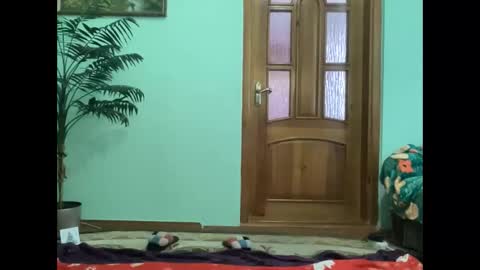 proud sweet 21 online show from 04-16-26, 03:02