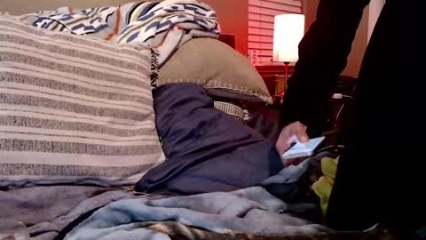 Snapshot of psilocipher chatting on 02-10-26, 07:56 Sk8wave online show from 02-10-26, 07:56