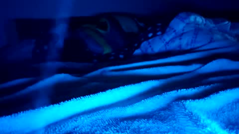 Snapshot of ptut82 chatting on 02-15-26, 09:41 ptut82 online show from 02-15-26, 09:41