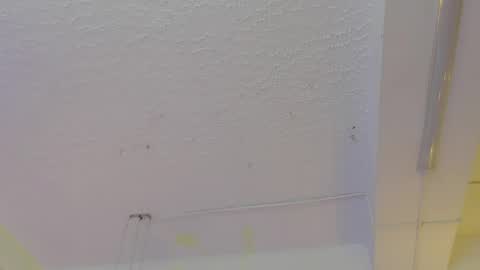 Pucca online show from 05-13-26, 12:13