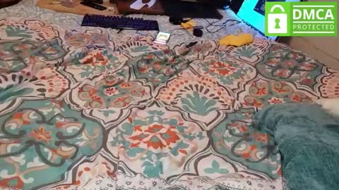 LOVE TO GET MY ASS FUCKED online show from 03-09-26, 05:22