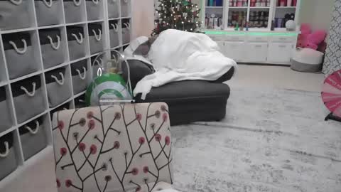 Snapshot of pugglelover chatting on 12-14-24, 11:01 Puggie - online show from 12-14-24, 11:01