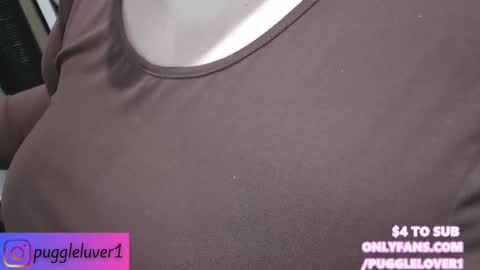 Snapshot of pugglelover chatting on 02-01-25, 11:58 Puggie - online show from 02-01-25, 11:58