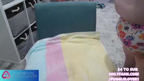 Snapshot of pugglelover chatting on 03-01-25, 12:45 Puggie - online show from 03-01-25, 12:45