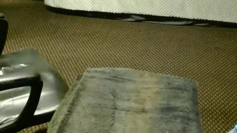 Jojo online show from 11-25-25, 08:42