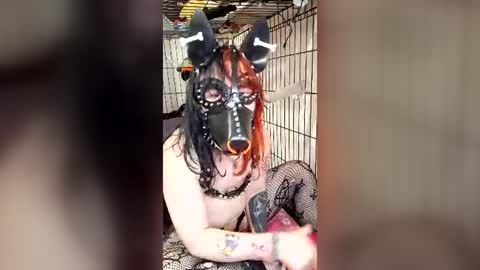 Snapshot of pup_maxie chatting on 07-31-26, 06:29 Pup Maxie HeHim online show from 07-31-26, 06:29