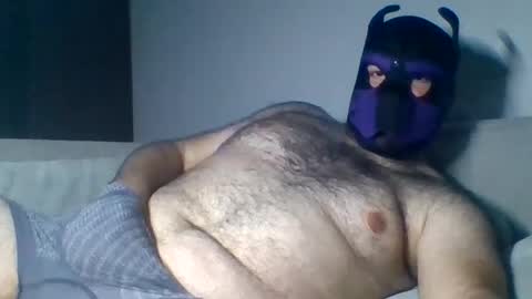 purple_pup_bear online show from 08-06-26, 09:39
