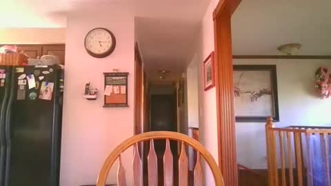 pussylover1365 online show from 10-16-25, 09:16