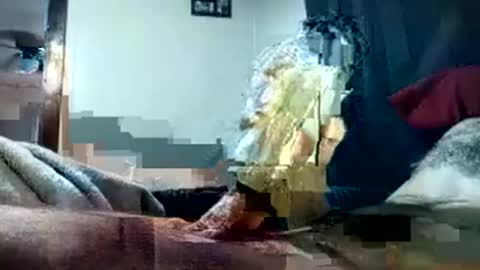 Snapshot of pussyluver420kik909587 chatting on 10-01-25, 08:15 Pussyluver420 online show from 10-01-25, 08:15