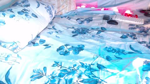 Lita  rat online show from 01-07-25, 09:46