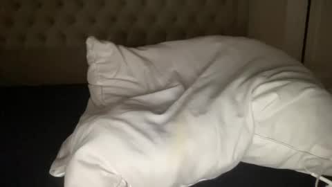 Snapshot of qlf0506 chatting on 11-12-25, 02:01 qlf0506 online show from 11-12-25, 02:01