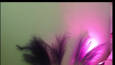 Snapshot of queen_rosee_ chatting on 02-25-26, 08:07 Queen Rosee online show from 02-25-26, 08:07