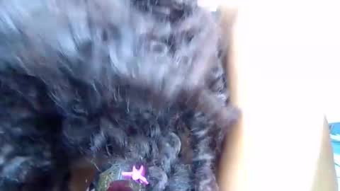 Quincy online show from 03-28-26, 02:11