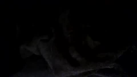 quincy joy11 online show from 03-02-26, 07:15