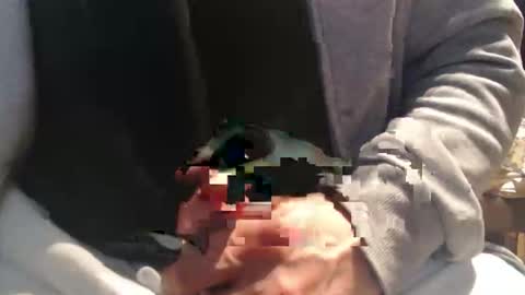 Raccoon68 online show from 04-08-26, 12:16