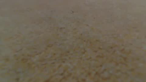 racefliege online show from 01-14-25, 06:02