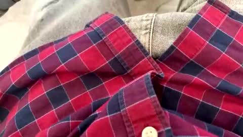 rad2615782 online show from 02-10-26, 10:19