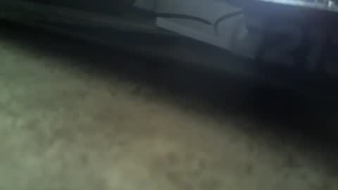 Snapshot of radeon06 chatting on 01-05-25, 12:10 Radeon06french online show from 01-05-25, 12:10