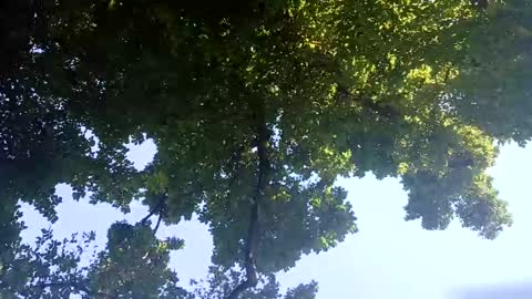 Bigthickdickinvic online show from 02-02-25, 06:26