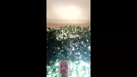 Bigthickdickinvic online show from 03-02-25, 02:51