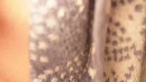 Rami online show from 02-17-25, 04:42