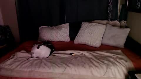 Snapshot of ramonaquinn chatting on 12-20-24, 08:49 RAMONA Q online show from 12-20-24, 08:49