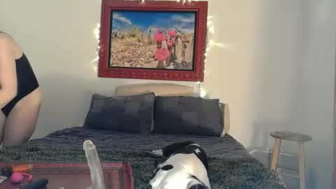    RAMONA Q   online show from 04-14-26, 08:42
