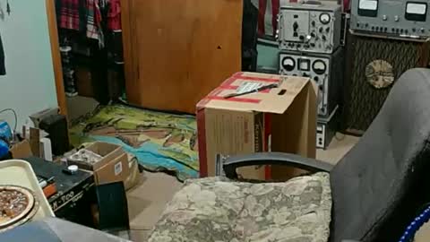 Randall online show from 11-23-25, 11:26