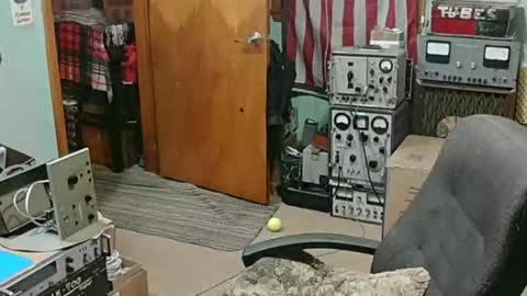 Randall online show from 01-18-26, 03:21