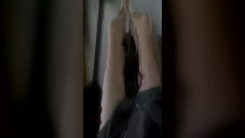 randycouple666 online show from 06-28-26, 09:43