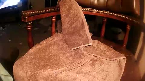 rarvet online show from 03-19-26, 03:16