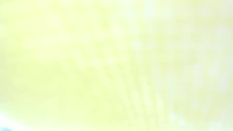 Ravenfox  online show from 03-29-26, 01:44