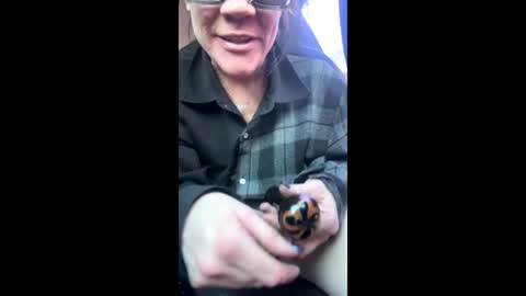 Raven Ray online show from 02-09-26, 04:22