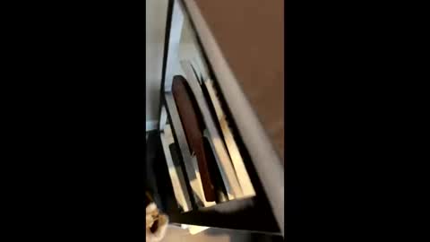 Snapshot of ravenxbeastie chatting on 02-17-25, 08:58 ravenxbeastie online show from 02-17-25, 08:58