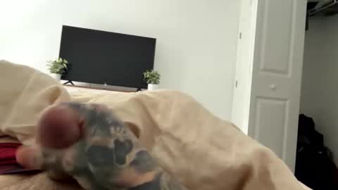 Snapshot of raws33x chatting on 02-03-26, 03:50 raws33x online show from 02-03-26, 03:50