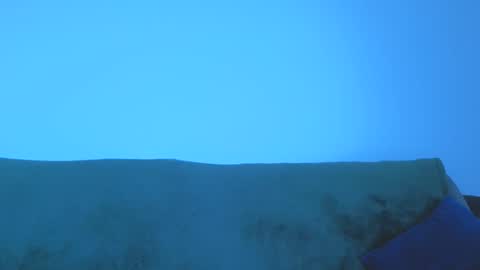 rayan online show from 05-16-26, 01:54
