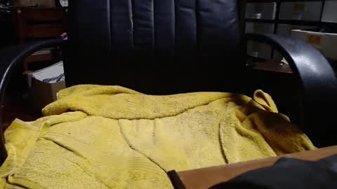 Ray online show from 04-03-26, 01:36