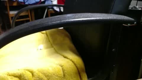 Ray online show from 04-17-26, 11:35